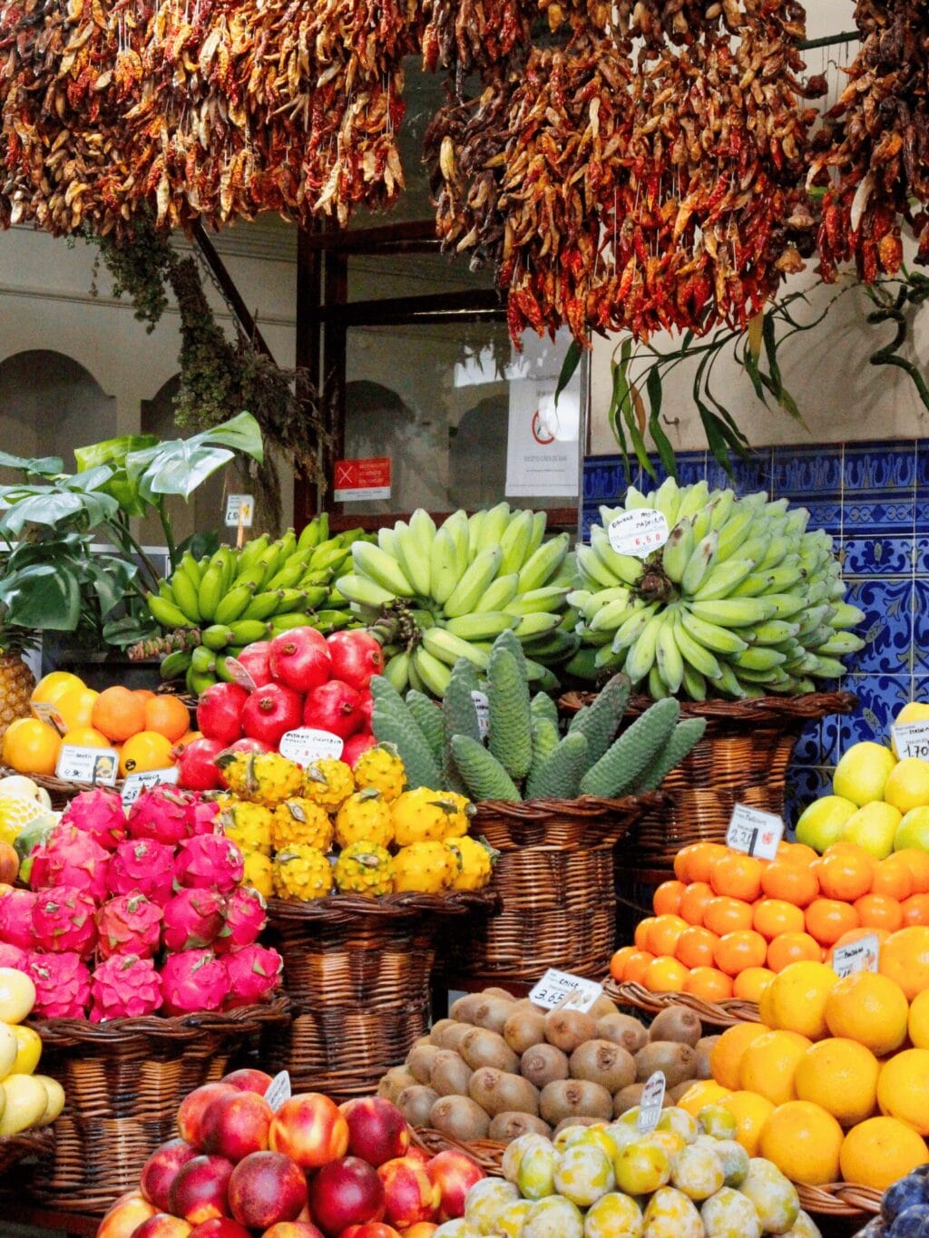 Körbe gefüllt mit farbenfrohen exotischen Früchten in einer Markthalle. Von der Decke hängen getrocknete Chili-Schoten.